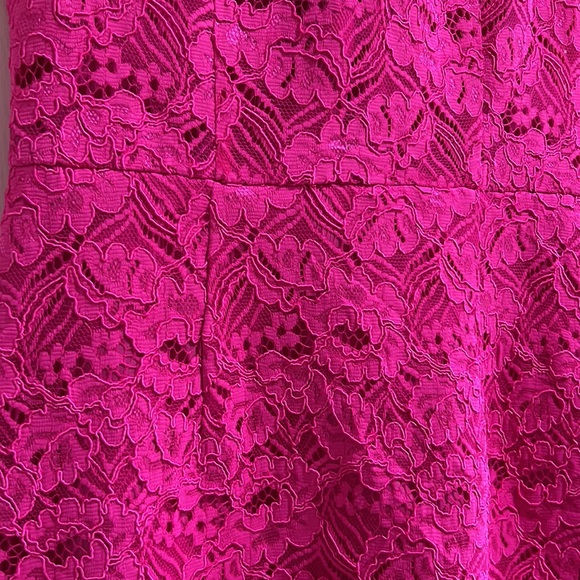 Shoshana Pink Lace Dress - Picture 3 of 7